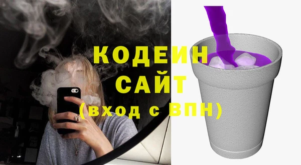 индика Зеленокумск