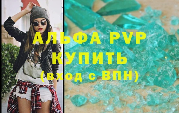 индика Инсар