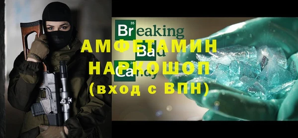 индика Инсар