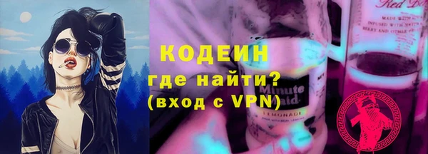 гидра Инта