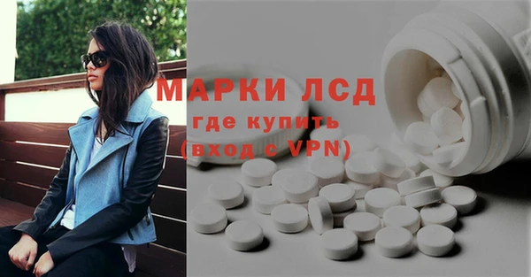 индика Зеленокумск