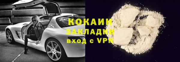 гидра Инта