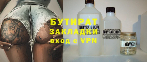гидра Инта