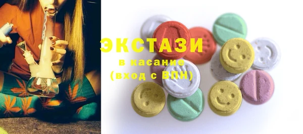 индика Инсар