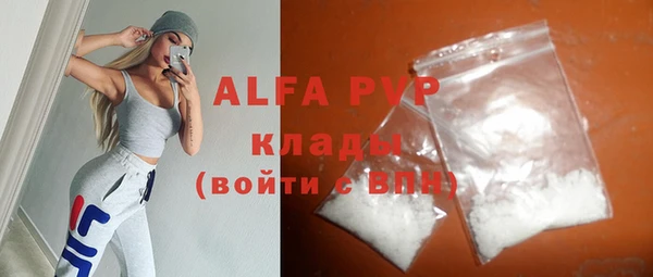 индика Инсар