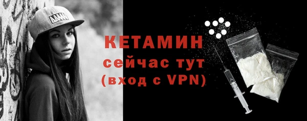 гидра Инта