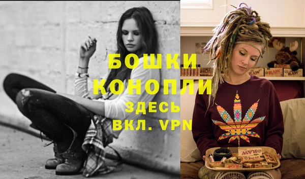 индика Зеленокумск