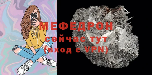 гидра Инта