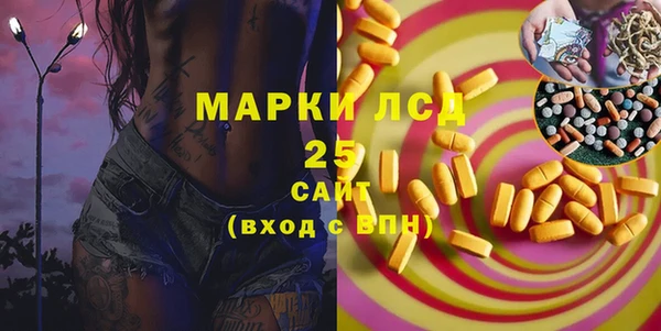 индика Зеленокумск