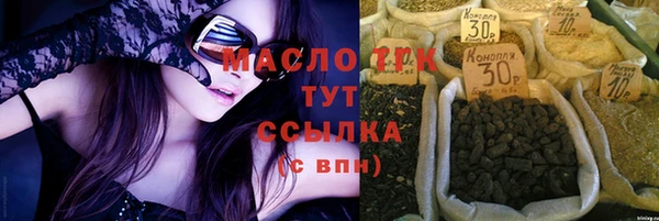 индика Инсар