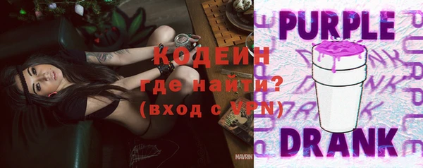 гидра Инта