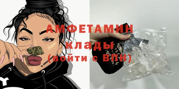 индика Зеленокумск