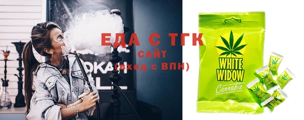 индика Инсар