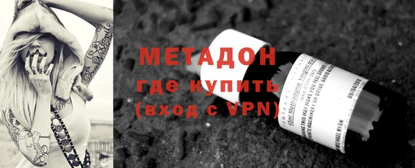 индика Инсар