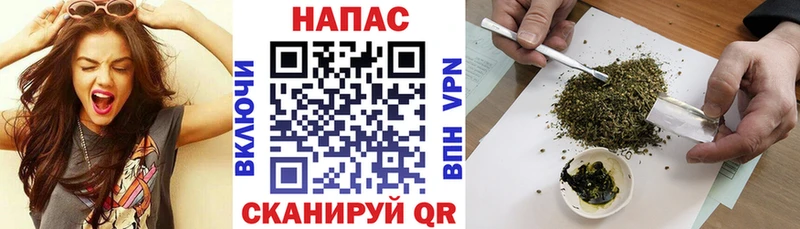 Шишки марихуана ГИДРОПОН  магазин продажи   Пикалёво 